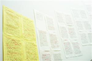 Installation 2006