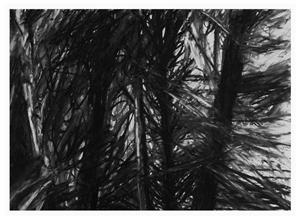 Landscape Drawing 1979