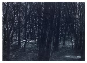 Landscape Drawing 1979