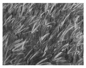 Landscape Drawing 1979