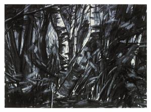 Landscape Drawing 1979