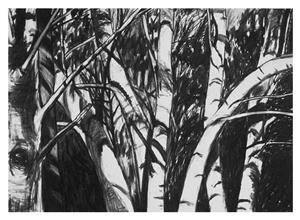 Landscape Drawing 1979