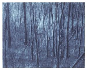 Landscape Drawing 1981