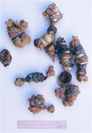 Rubber Band Pieces 1973