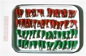 Painted Pine Cones 1974