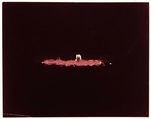 Photogram 1973